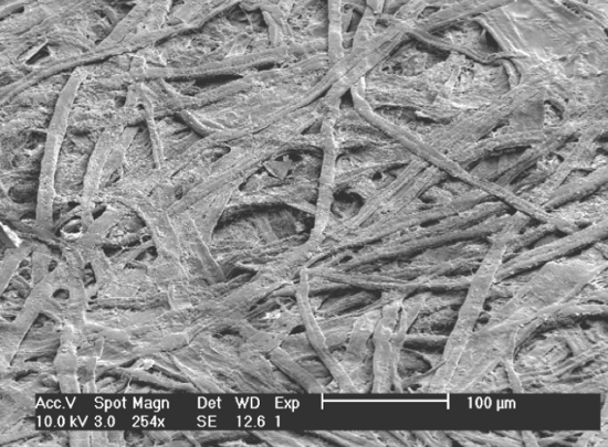 paper patient chart under the microscope